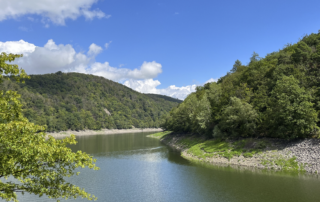 Ein großer Fluss schlängelt sich durch eine grüne landschaft mit Bergen im Sommer.