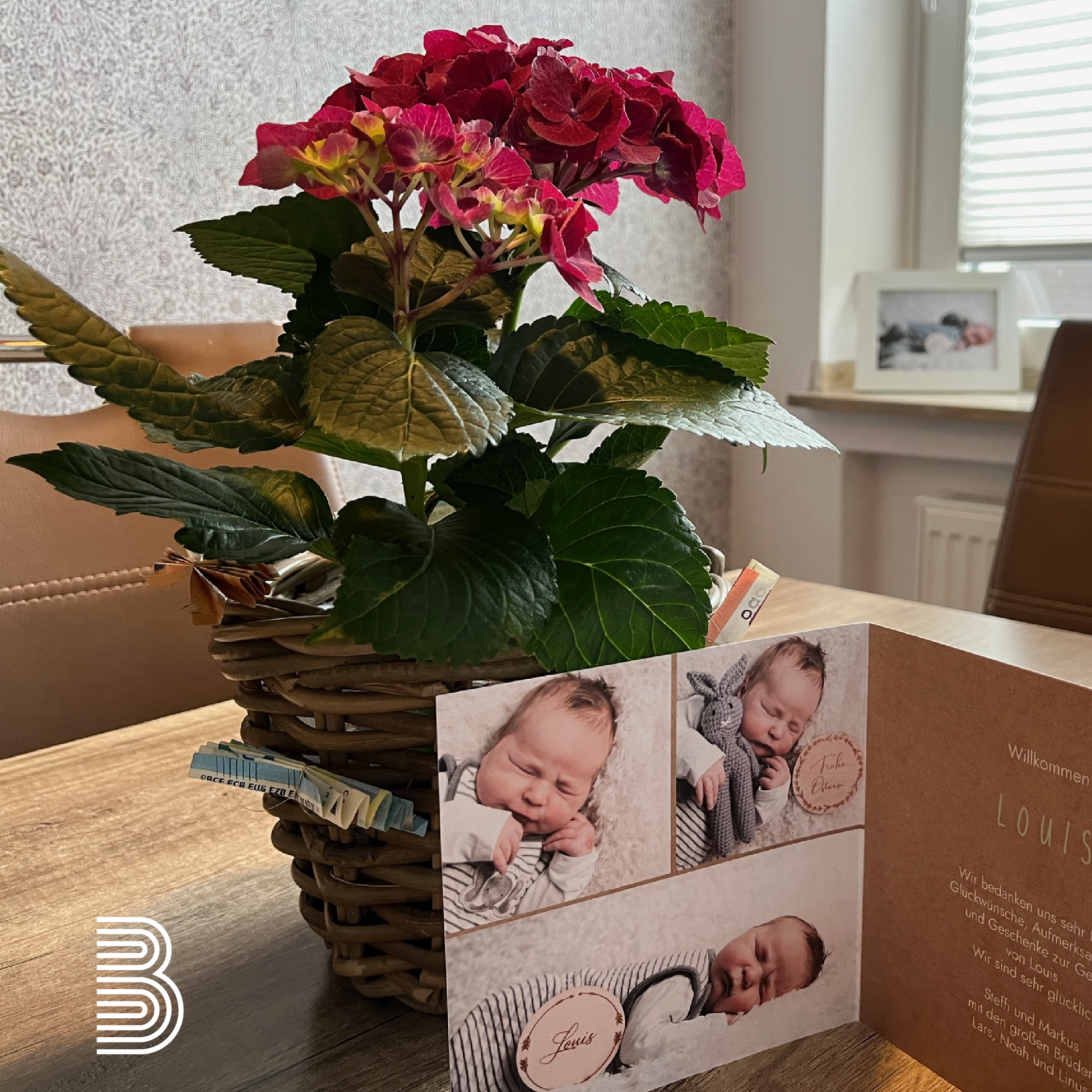 Blumenstock mit Baby-Karte davor.